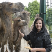 camels fed by MARTINA - congrats!
